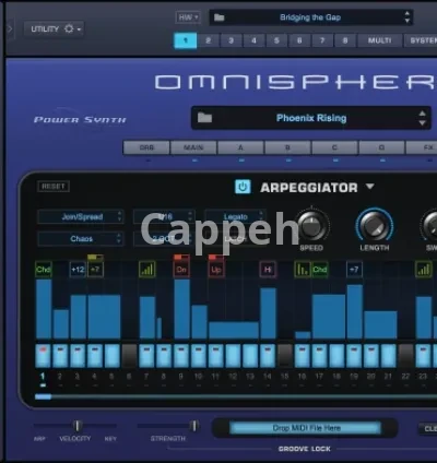 I will set you best omnisphere, massive, sylenth, serum presets