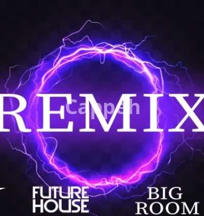 I will remix, remake or recreate any song, any genre