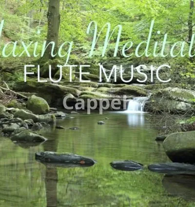 I will compose relaxing meditation flute music