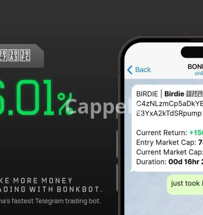 I will teach crypto meme coin trading to you