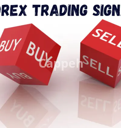 I will help you make good decision in forex trading