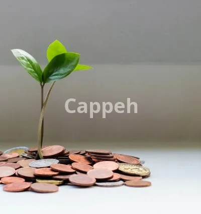 I will provide real estate investment coaching