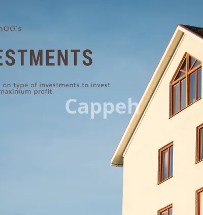 I will give you investment strategy with bazi