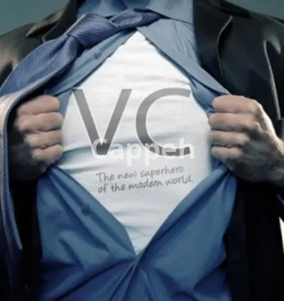 I will provide a database of 200 venture capitalist investors