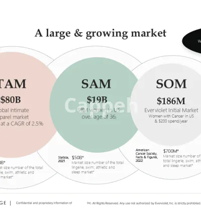 I will write and design fundraising deck