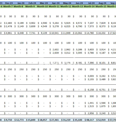 I will provide a financial model for your saas business