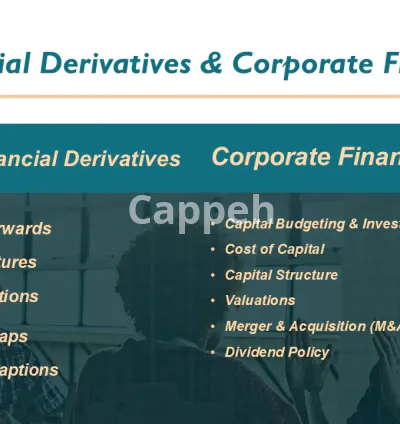 I will do professional financial derivatives and corporate finance