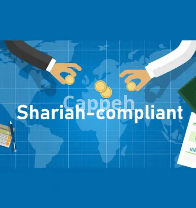 I will develop islamic finance model for your business