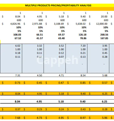 I will do product profit margin calculation, pricing and costing
