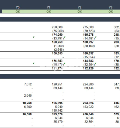 I will prepare fully customized financial models