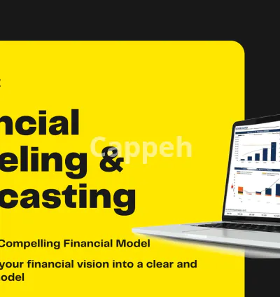 I will develop a financial model for your ecommerce business