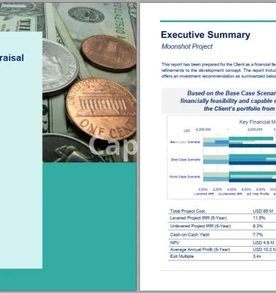 I will do financial analysis, modelling, business valuations and investment appraisals