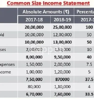 I will do cost profit analysis,profit projections, vertical, horizontal analysis