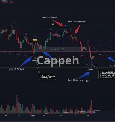 I will provide an expert stock market and crypto analysis and more