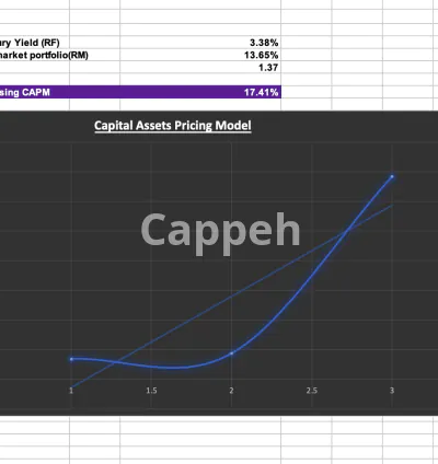 I will do finance, portfolio management, security analysis, bonds, stock, wacc