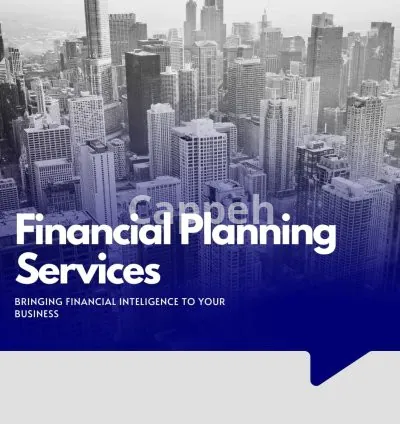 I will financial planning and analysis consulting