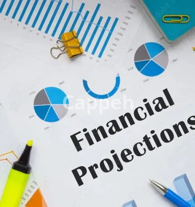 I will do financial analysis, projections and business plan