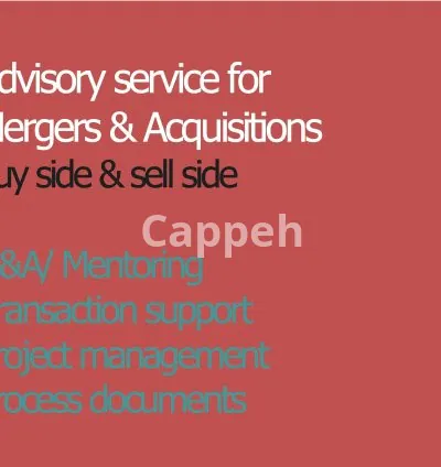 I will support you in all aspects of corporate finance