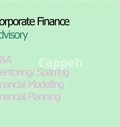 I will support you in all aspects of corporate finance