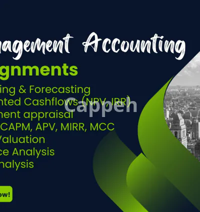 I will do management accounting and corporate finance assignments