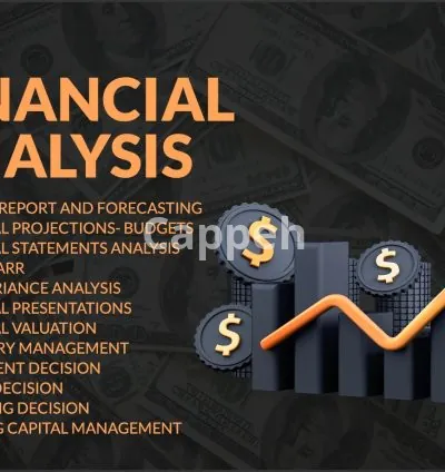 I will provide financial analysis,financial model,npv,irr,dcf,wacc,ratios,projections