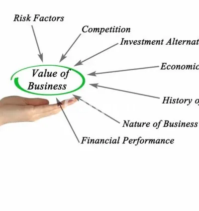 I will do financial projections and business valuation
