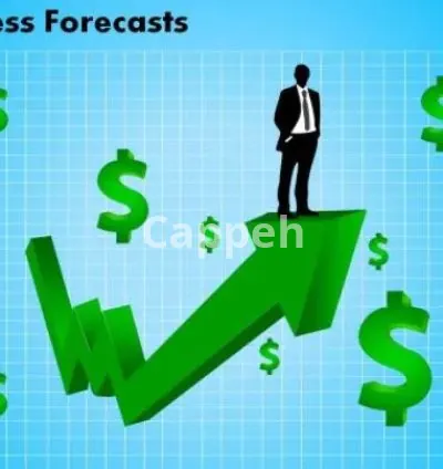 I will do financial projections and business valuation