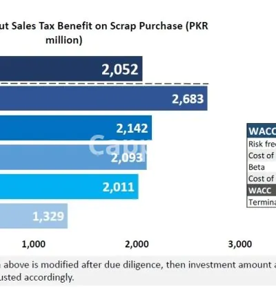 I will do business valuation and financial analysis for you