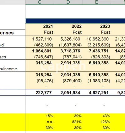 I will do your financial model and valuation analysis