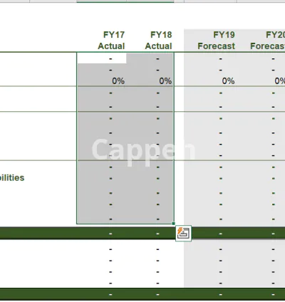 I will do your financial model and valuation analysis