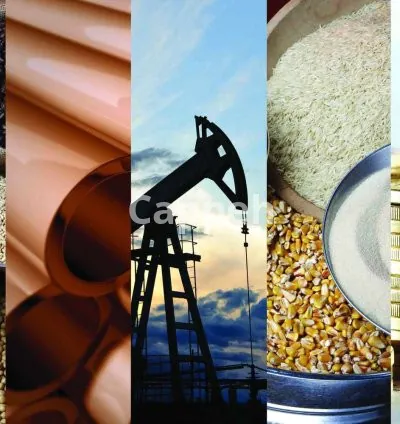 I will do business analysis and valuation on equity, commodity and crypto with charts