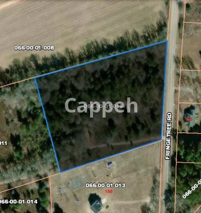 I will provide property due diligence or property appraisal report