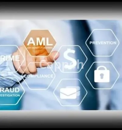 I will provide kyc due diligence and effective compliance policies and procedure