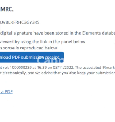 I will do UK company annual accounts and corporation UK tax return ct600