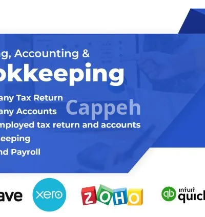 I will do UK company annual accounts and corporation UK tax return ct600