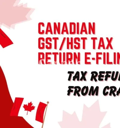 I will prepare and file corporate tax return t2, personal tax t1