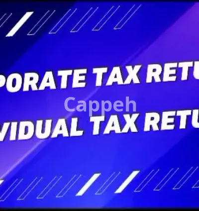 I will prepare and file corporate tax return t2, personal tax t1