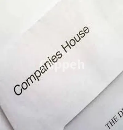 I will do year end accounts and tax return for your company