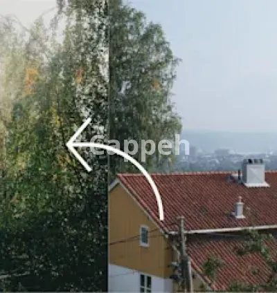 I will edit photos for you