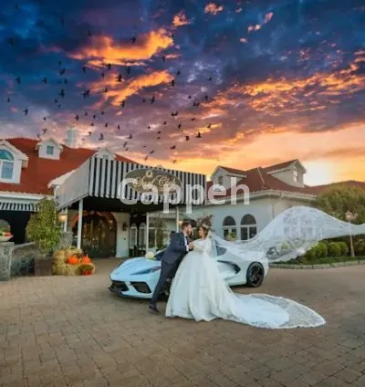 I will do wedding photo and video