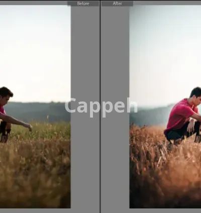 I will create a lightroom preset for you