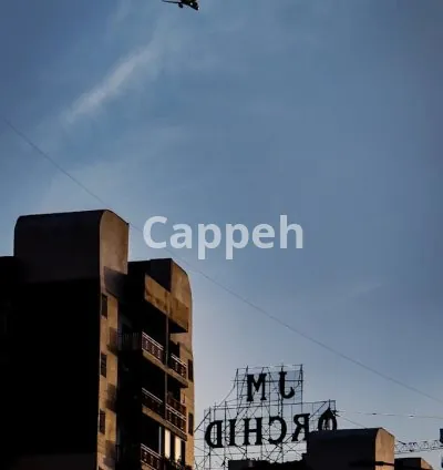 I will raw photo editing, color grading and preset selling