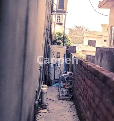 I will provide adobe lightroom presets to you