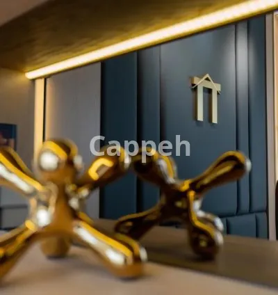 I will provide professional videography and photography service in uae