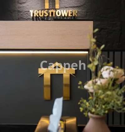 I will provide professional videography and photography service in uae