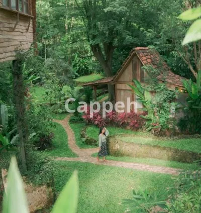 I will photoshoot you in bali