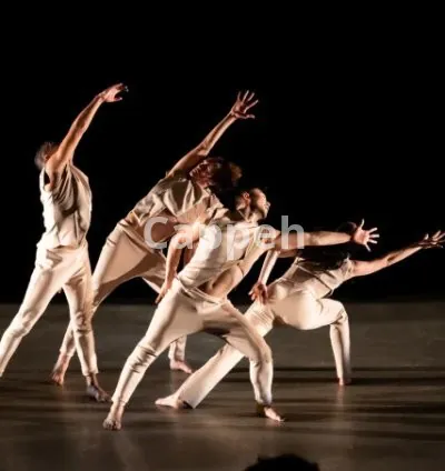 I will photograph your event, concert or performance