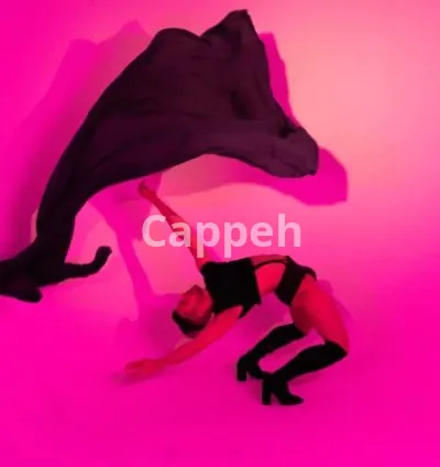 I will photograph your event, concert or performance