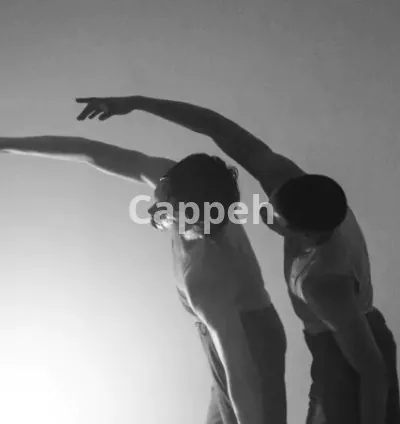 I will photograph your event, concert or performance