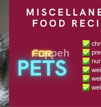 I will formulate pet food for dogs, cats, pets